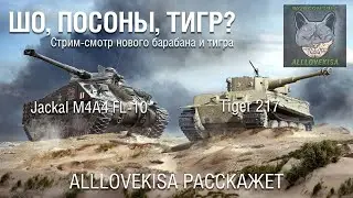 Jackal M4A4 FL-10 и Tiger 217 НЕПРОДАЖНЫЙ СТРИМ. WOT MERCENARIES