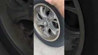 What could possible be making this noise?