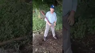Llanta.