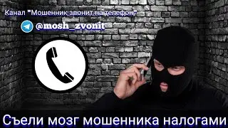 Съели мозг мошенника налогами