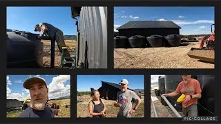 BENT HITCH FARM // The Lost Tapes 2024