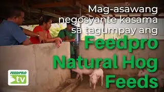 Mag-asawang negosyante kasama sa tagumpay ang Feedpro Natural Hog Feeds