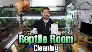 CLEANING MY REPTILE ROOM (Gecko, Skink, Monitor Vivariums!)