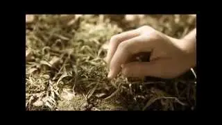 Bayu Risa - Sela (Video Clip)