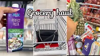 Grocery haul/ living alone diaries/ how much I spend on biweekly food shopping