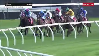 Mailbag Bloodstock - Introducing: GIRELLO