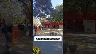 Нажми два раза на экран. Краснодар в сентябре. #2023 #сегодня #краснодар