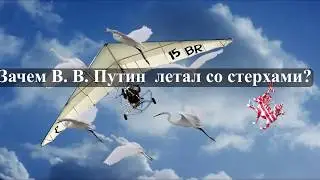 Зачем В.В. Путин летал со стерхами?