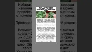 Хрен избавит организм от солей 