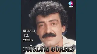 Rüzgar mı Attı Seni