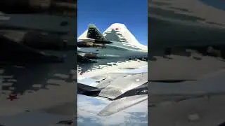 молодец пилот россии