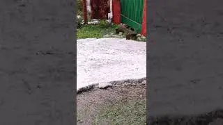 Засыпало градом  Поселок Копаловский Челябинская область