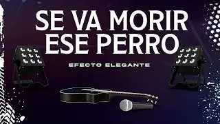 (Letra) Se Va Morir Ese Perro - Efecto Elegante