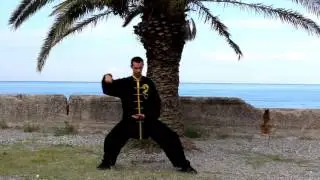 Чэнь ши лаоцзя и лу.5.дань бьен