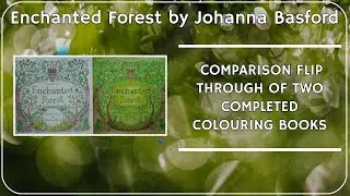 Comparison of Completed Enchanted Forest Colouring Books by Johanna Basford (adult coloring)