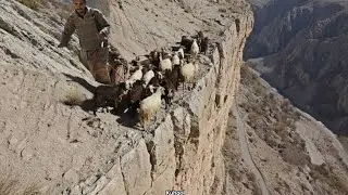 Winter migration of nomads and life on the edge of the abyss: a full day with the toughest mountain