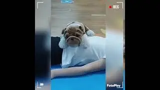 Дыхательные упражнения для детей.