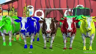 تعلم الالوان مع البقرات الملونة | learn color with the cows