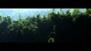 Forest Dawn (Vue 10 xStream)