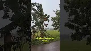 May bagyo ba today? #typhoon #shortvideo #short #update