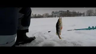 Великолепная без кивковая зимняя удочка для ловли окуня на балансир.