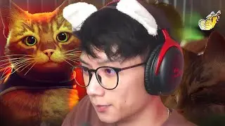 a wholesome cat game (stray)