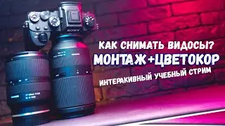 Раздача мозгов... 