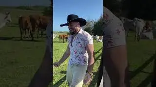 chama(cover) Luan Pereira #fyp #sertanejo #agro