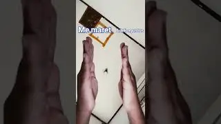 aku maret adek aku agustus