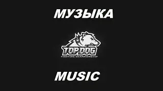 КРУТАЯ МУЗЫКА TOP DOG #4 / МАКС ВДВ x ДЖАНГО / СИВЫЙ x ПАНДА / ГАЗИ ЗОХАН x МАЙК ВООРУЖЕННЫЙ.ТОП ДОГ