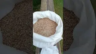 Домашнее пиво, Янтарный эль! 🍻👍🤤
