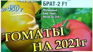 ТОМАТЫ для ГРЯДКИ на сезон 2021. СЕМЕНА. ОБЗОР