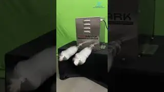 2 Head Bottle Brushing Unit