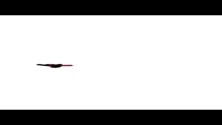 swirlytest1.mp4