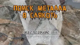 ОТВРАТИТЕЛЬНАЯ ПОГОДА И ПРЕКРАСНЫЕ НАХОДКИ! МЕТАЛЛОКОП 2023