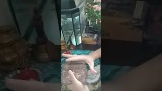 поток....надеюсь загрузится....