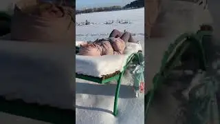 Шок!!! Девушка загорает зимой на снегу 😄