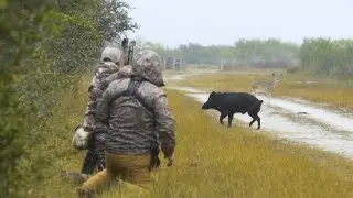 Stalking Hogs at Encino Loco (King Ranch) with a Bow!