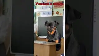 школьные будни 