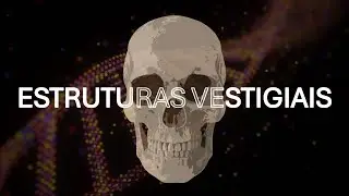 Estruturas vestigiais - Fisiologia Humana