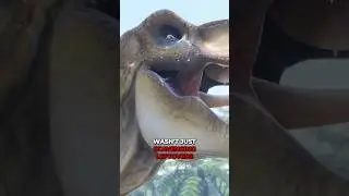 How T-Rex Was the Apex Predator in The Cretaceous Period 