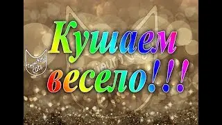 КУШАЕМ ВЕСЕЛО! | Кошка пьет молоко | Охота на финик | Слишком горячий суп \ cats eats so funny!