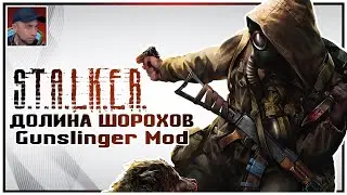 ЛУЧШИЙ СЮЖЕТНЫЙ МОД НА STALKER? | Долина Шорохов + Gunslinger Mod