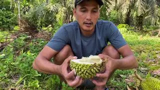 Fishing and Climbing Durian Trees - Mas Topan Jemodusuntv's Activities