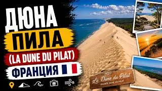 Наши гости - EURO MEDIA STAR GROUP #EuroMediaStarGroup международный культурный форум во Франции