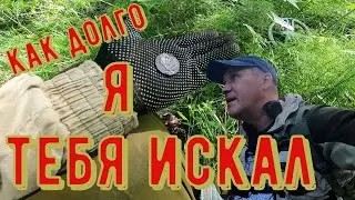Все сигналы на камеру!!! Лесной коп с XP ORX.