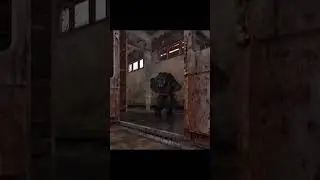 Задний план. Сталкер Stalker баги Чернобыля