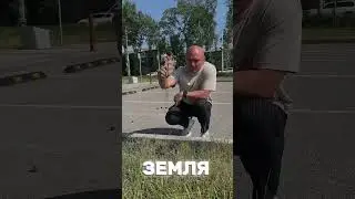 Есть такие знакомые?😂 #золотойтопор #топ #ведущий #регион59 #прикол #юмор