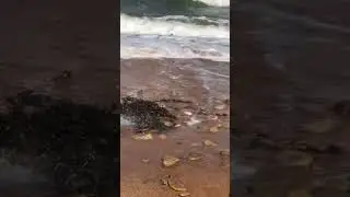 Штормовое Азовское море