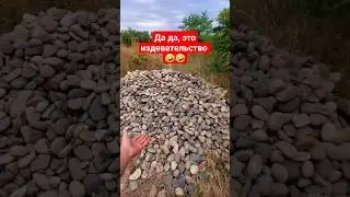 Почему я их раньше не нашёл 🤦‍♂️🤣